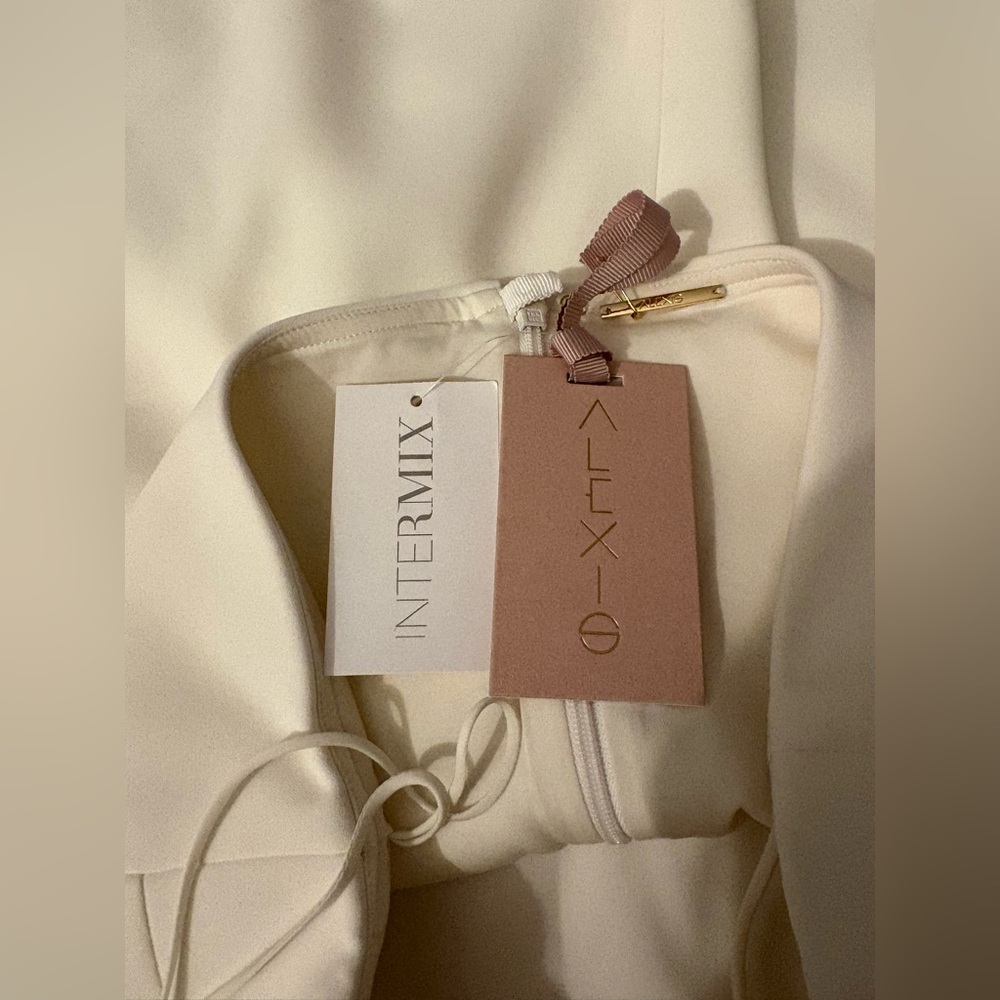 Alexis Katerin Strapless Mini Dress Medium NWT Ivory Notch Neckline Designer - Picture 5 of 8